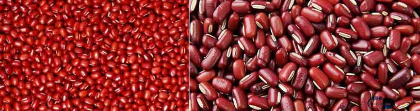 赤小豆和红豆的区别